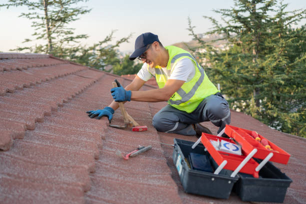 Best Commercial Roof Installation  in Ojus, FL